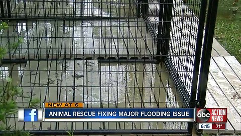 Flooding fears force renovations at Nate's Honor Rescue animal shelter in Manatee County