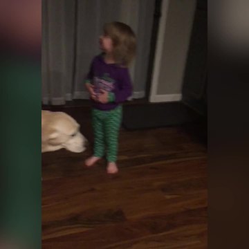 Little Girl Proudly Announces To Her Dad That She Pooped
