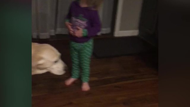 Little Girl Proudly Announces To Her Dad That She Pooped