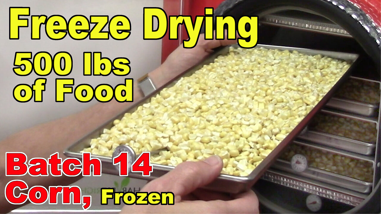 Freeze Drying Your First 500 lbs of Food - Batch 14 - Corn, Frozen (Plus a Tour)