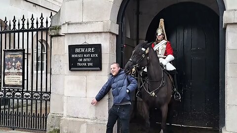 Horse pulls Tourist up by his coat. horse bites #horseguardsparade