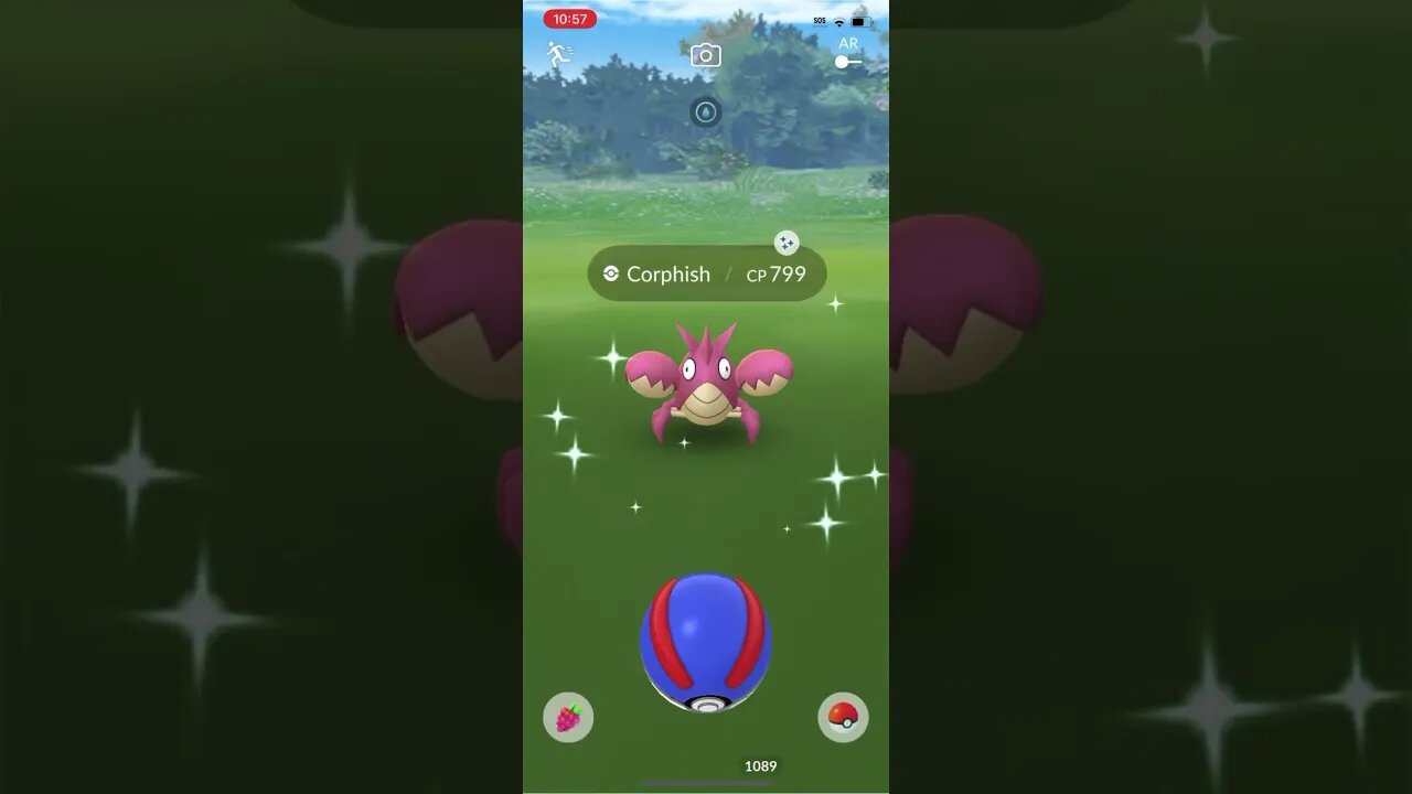 Shiny Compilation