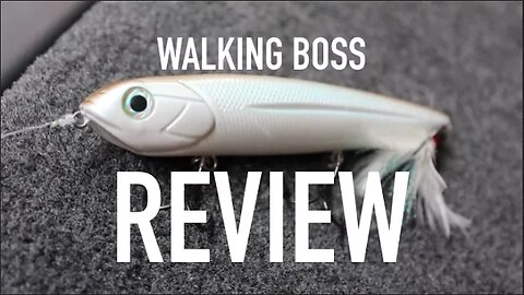 Livingston Walking Boss Review