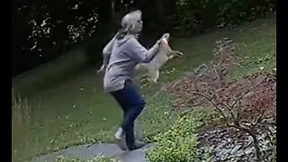 Woman Fights off Rabid Fox