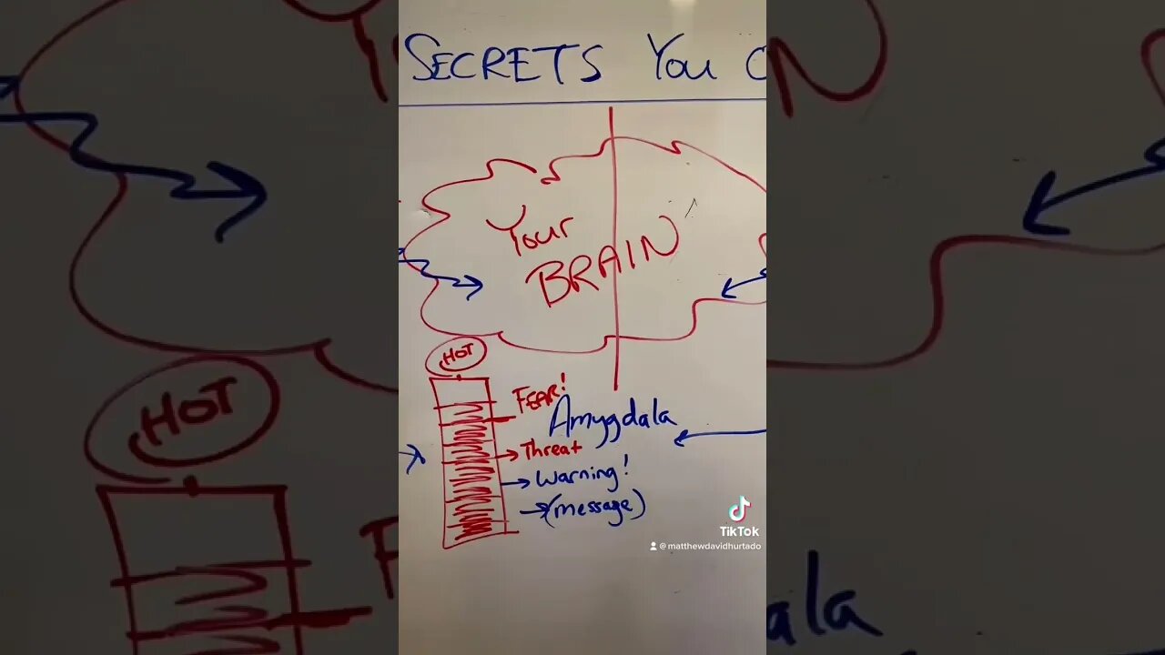 How I Beat Anxiety—Secrets “They” Don’t Want You Knowing. #anxiety #anxietyrelief #anxietytips