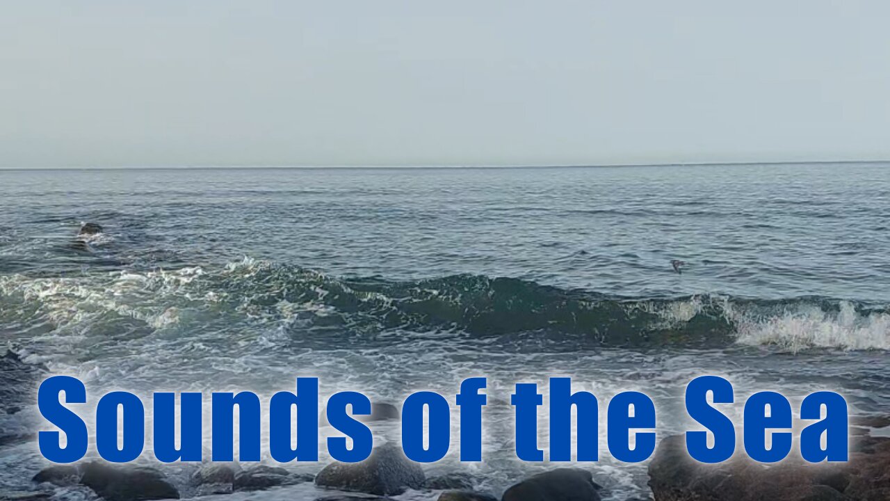 Sounds of the Sea