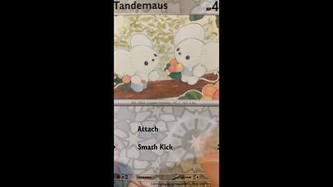 Pokemon Daily #44 - Art Appreciation - Tandemaus - S&V: Paldea Evolved!
