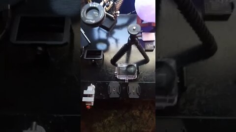 studio progress report