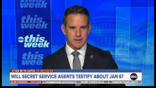 Adam Kinzinger Declares J6 Witness Cassidy Hutchinson A Hero