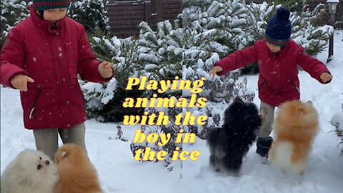 Best of the animals 2021 Playing animals with the boy in the ice #40