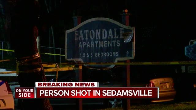 Gunshot victim found at Sedamsville crash scene, pronounced dead at hospital