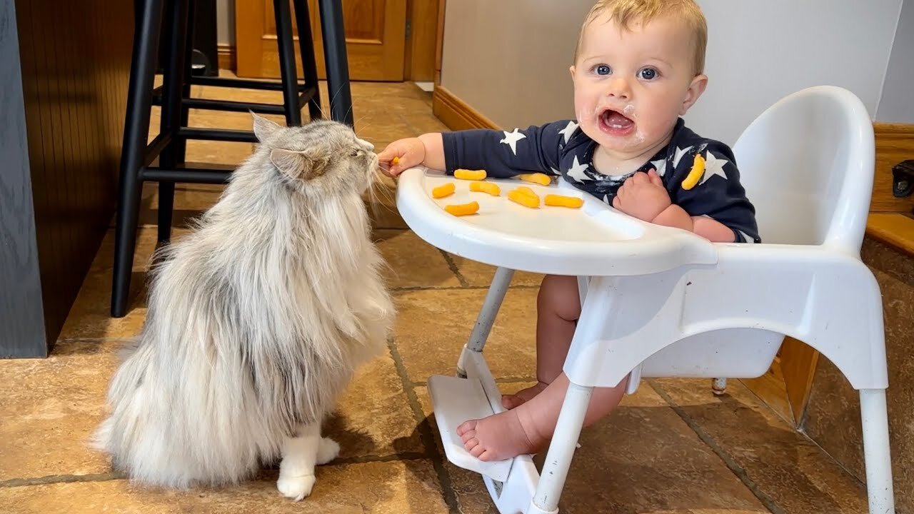 Adorable Baby Boy Shares The Most Unlikely Food With His Cat! (Cutest Ever!!)