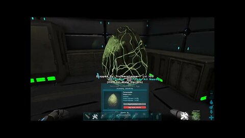 My second wyvern