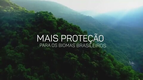 Floresta Carbono Conservação das florestas nativas e alternativa de renda para quem cuida