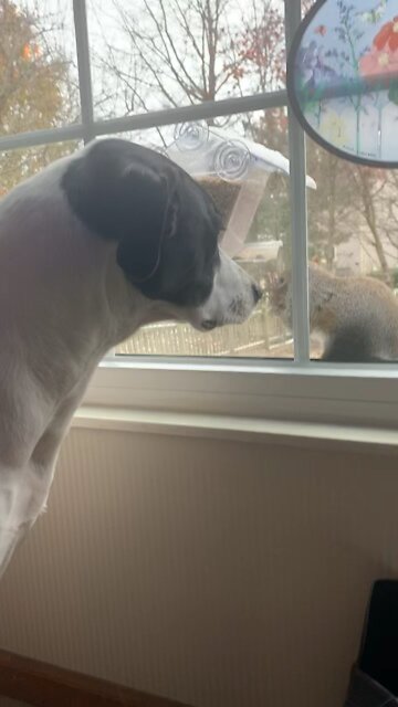 Whose my new friend?