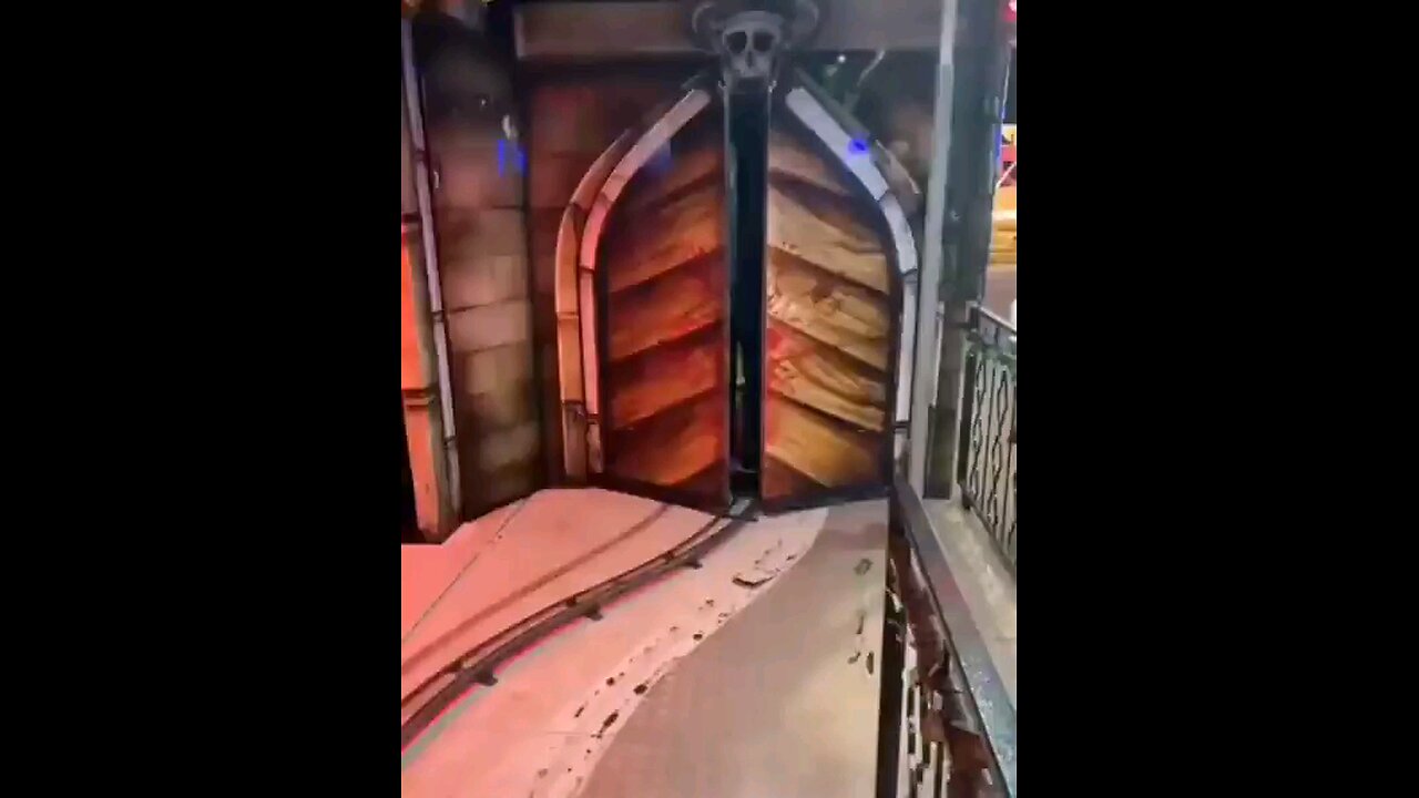 funny videos