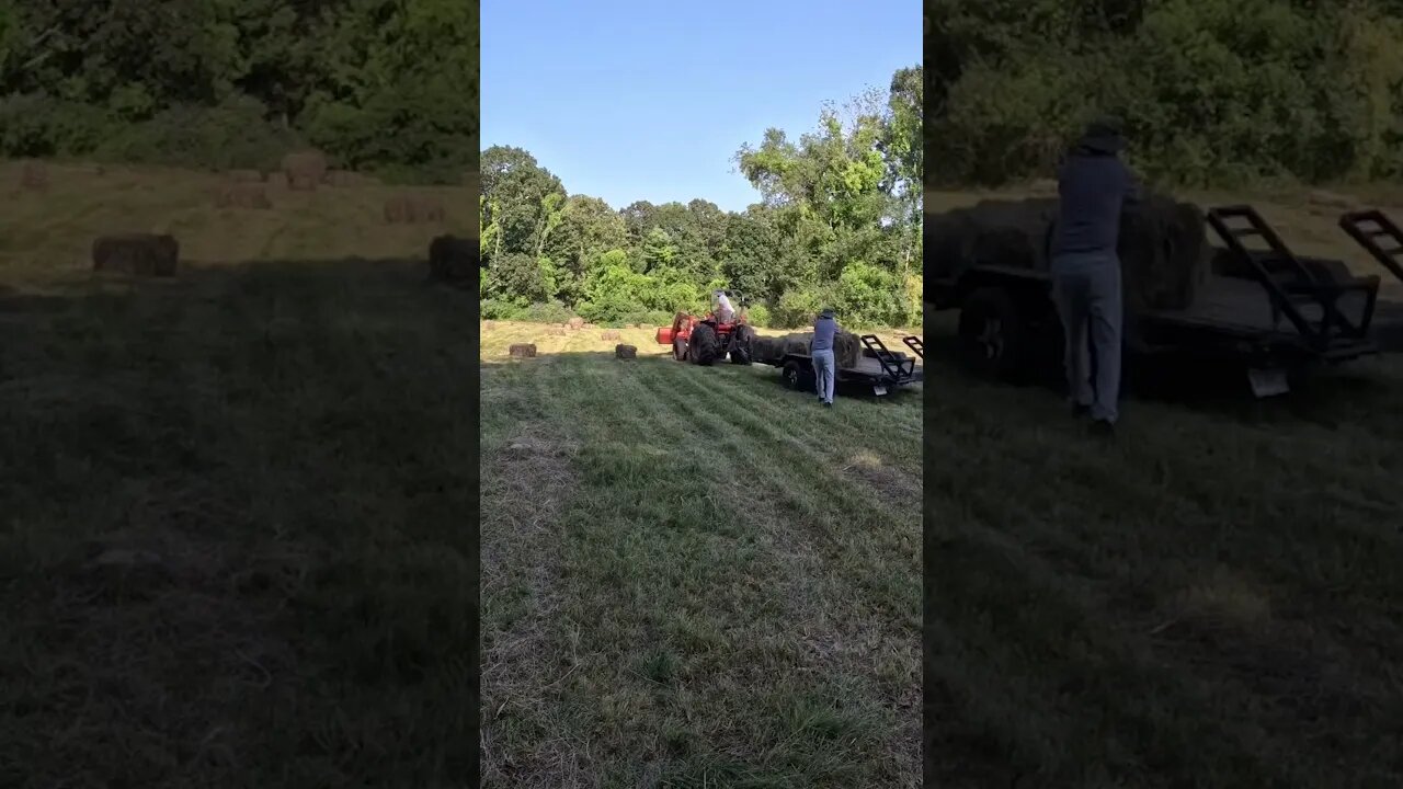Haying time lapse #tractor #farming #farm #new