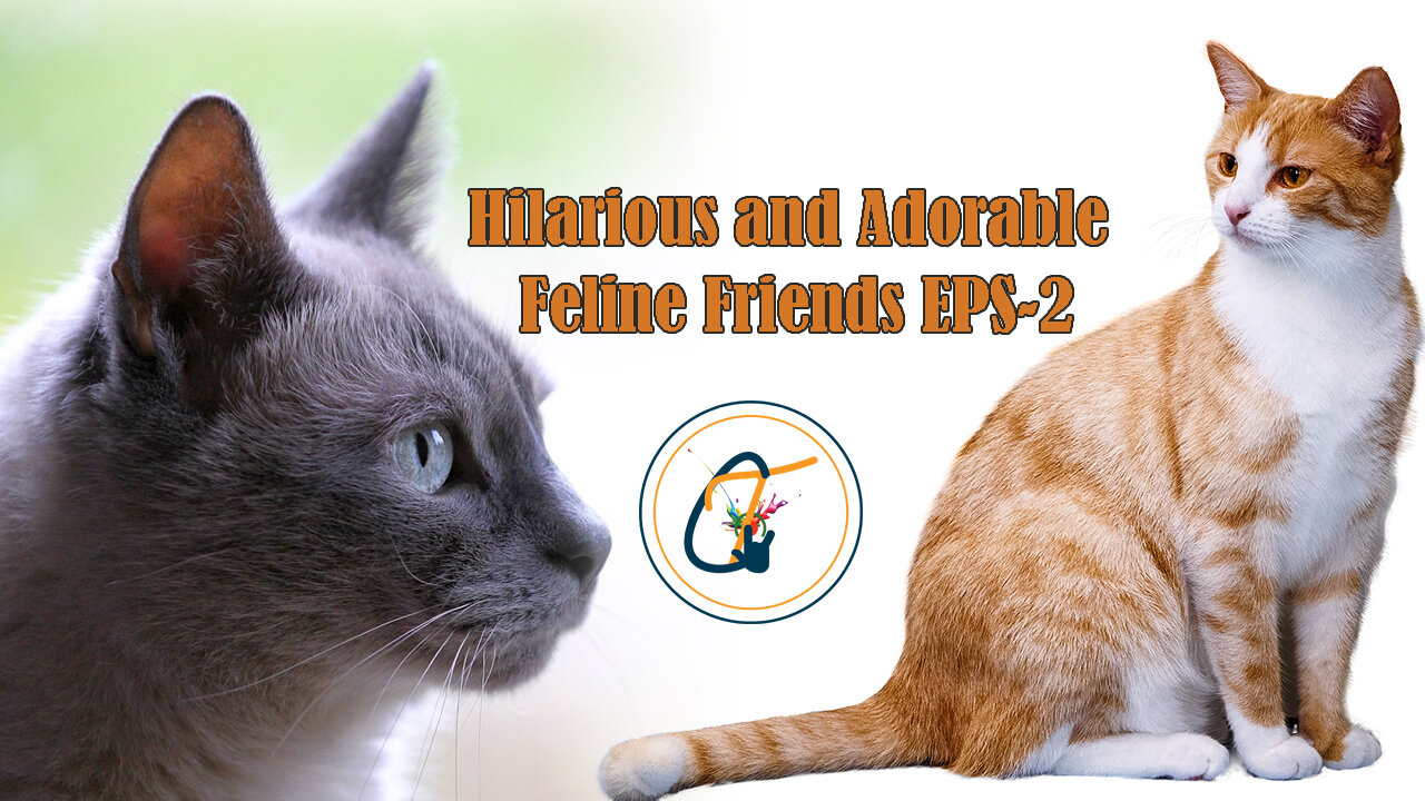 Hilarious and Adorable Feline Friends EPS-2