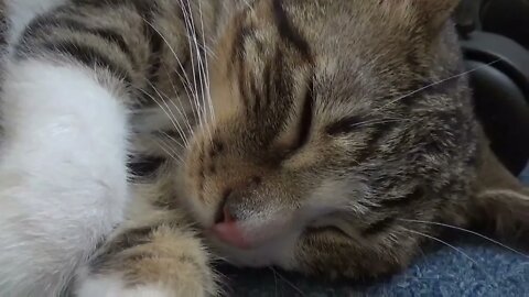 I Wonder If I Can Scare Mommy If I Play Dead