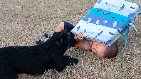 Playful pooch gives kid adorable giggle fit