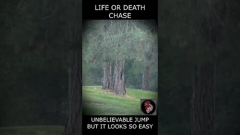 Life or death chase