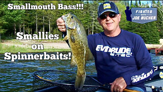 BASS! Smallies on Spinnerbaits!