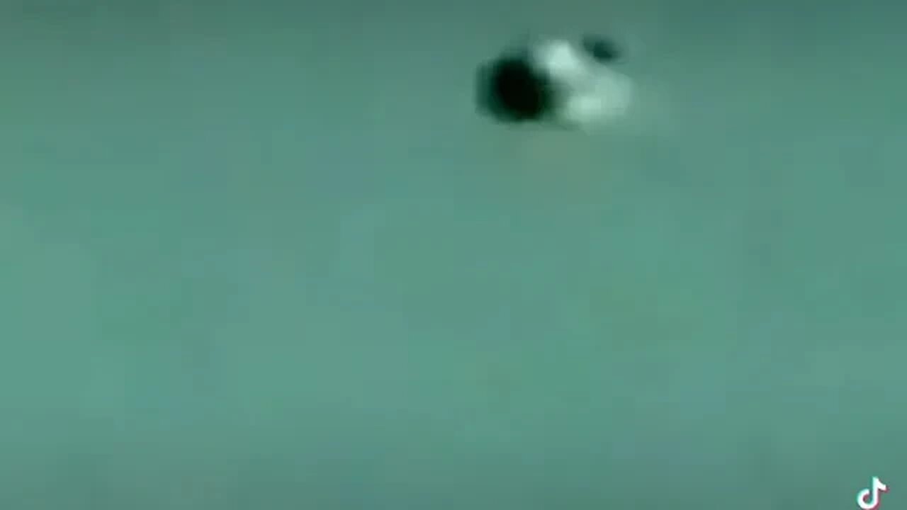 ufo 1993