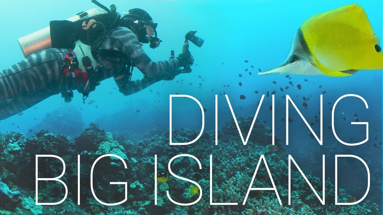 Big Island Hawaii Scuba Diving - WARM WATERS & GOOD TIMES