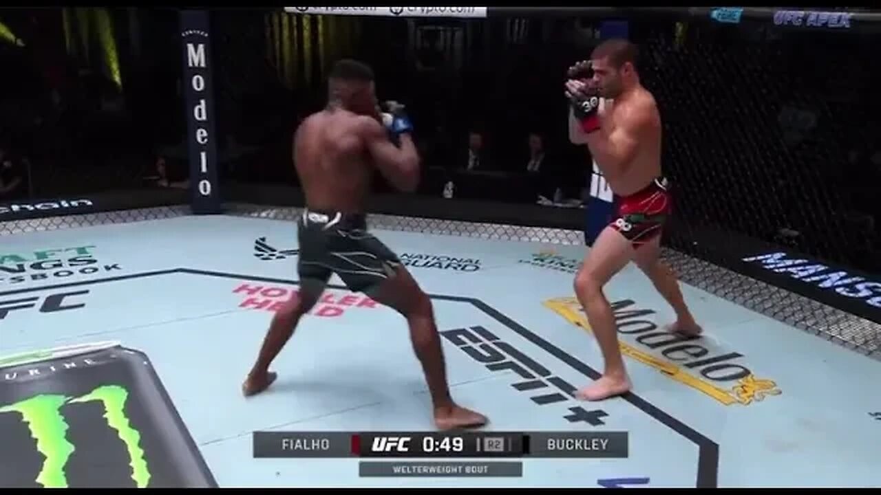 Buckley Knocked Fialho The Heck Out #ufc #buckley