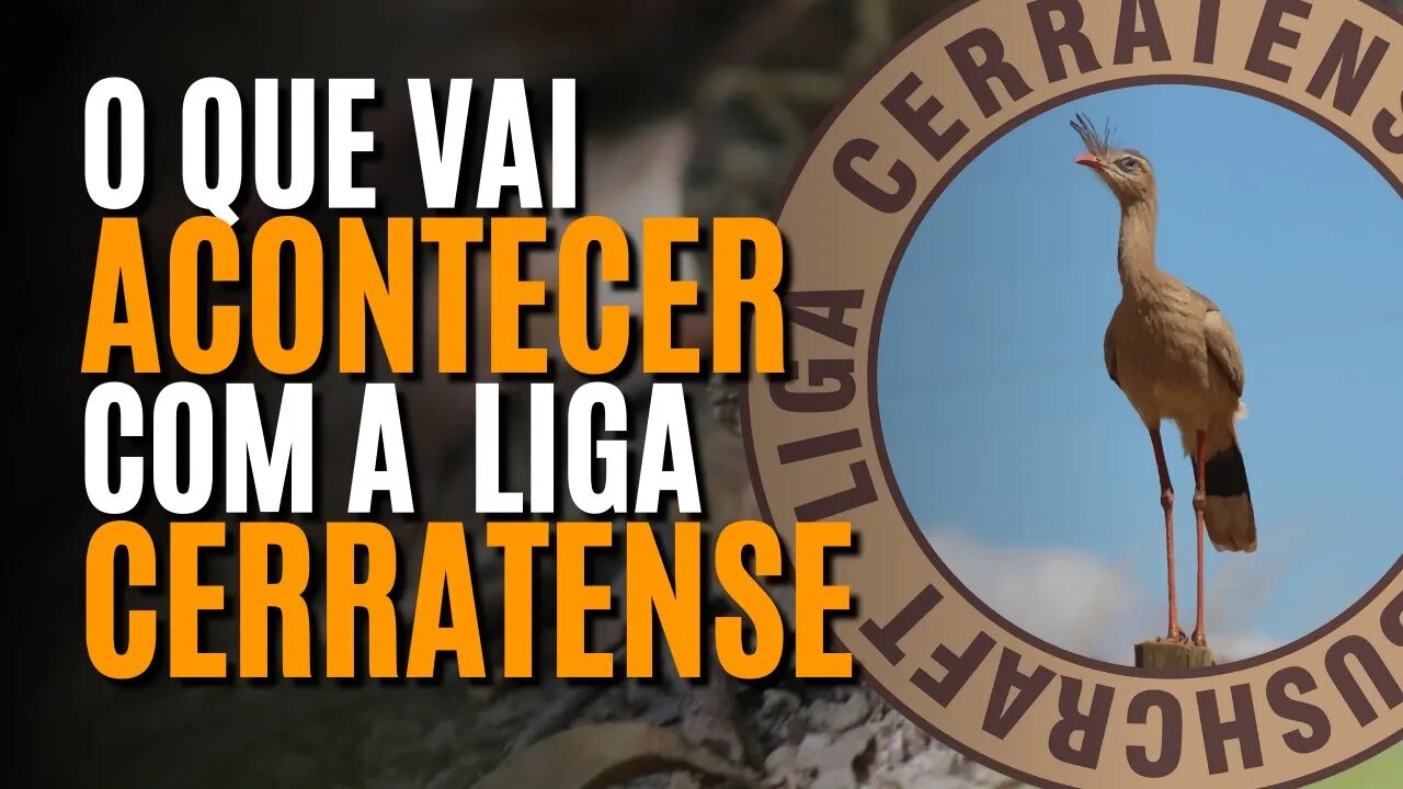 O FUTURO DA LIGA CERRATENSE