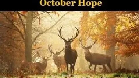 ♑Capricorn~🕊️Your October Hope 🌬️From Spirit