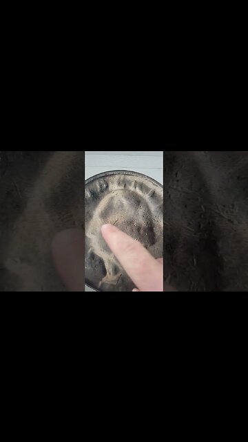 The $150 Quarter! #coin #money