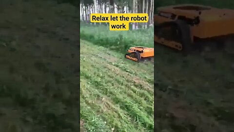 Smart robot bush grass cleanings