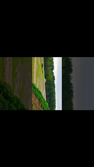 Where is the transparency for the government? start local and work up the ladder.