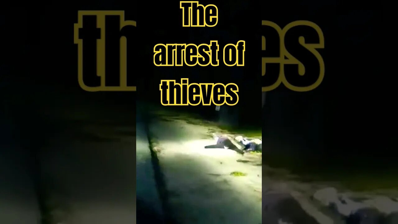 body cam cop Instant search and arrest of car thieves.@news @UnlimitedPolice #subscribe