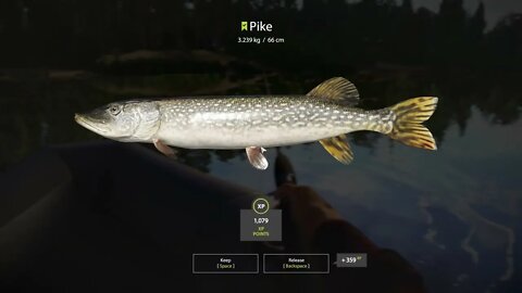 Russian Fishing 4 Sura river Pike 3.239 Kg