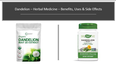 Dandelion Leaves Herbal Medicine Benefits, Uses & Side Effects