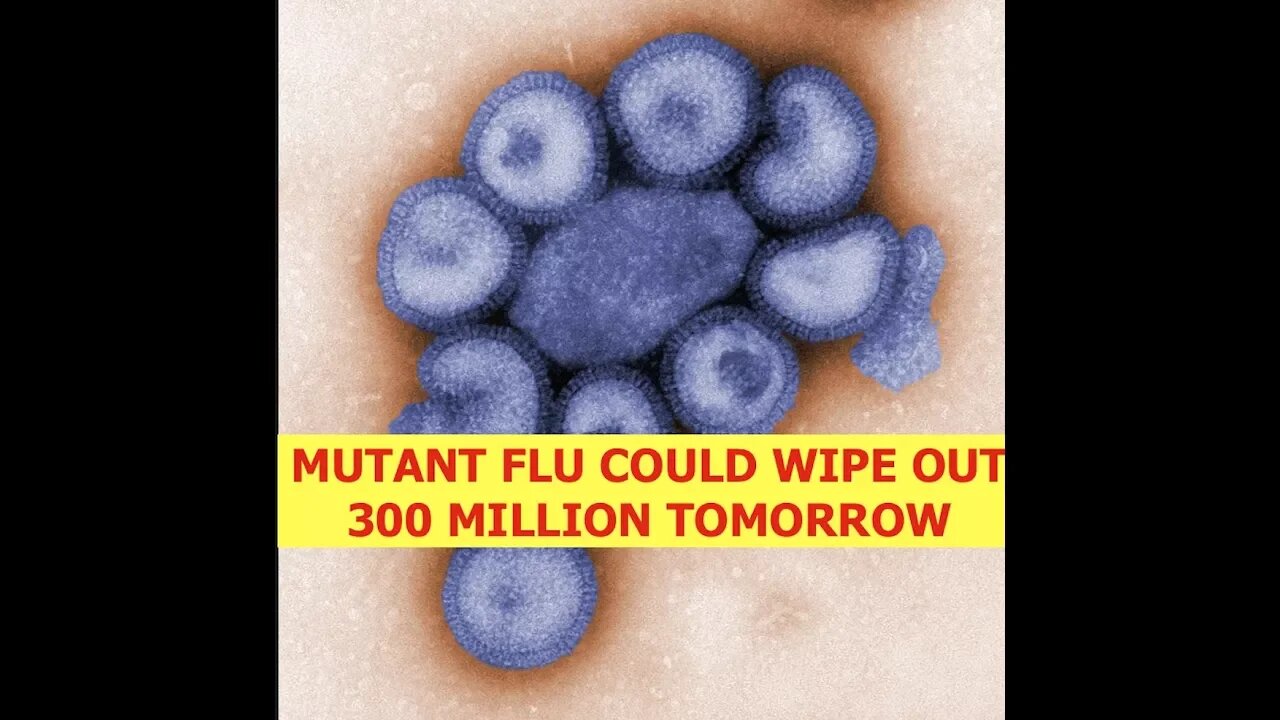 Doctor Global Health Council, Claims Mutant Flu Could Wipe Out 300 Million Tomorrow - Latest