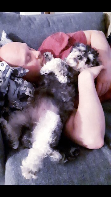 Jealous dog needs all the attention