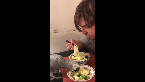 Alpha Parrot Cole shares ramen/eggs with Me