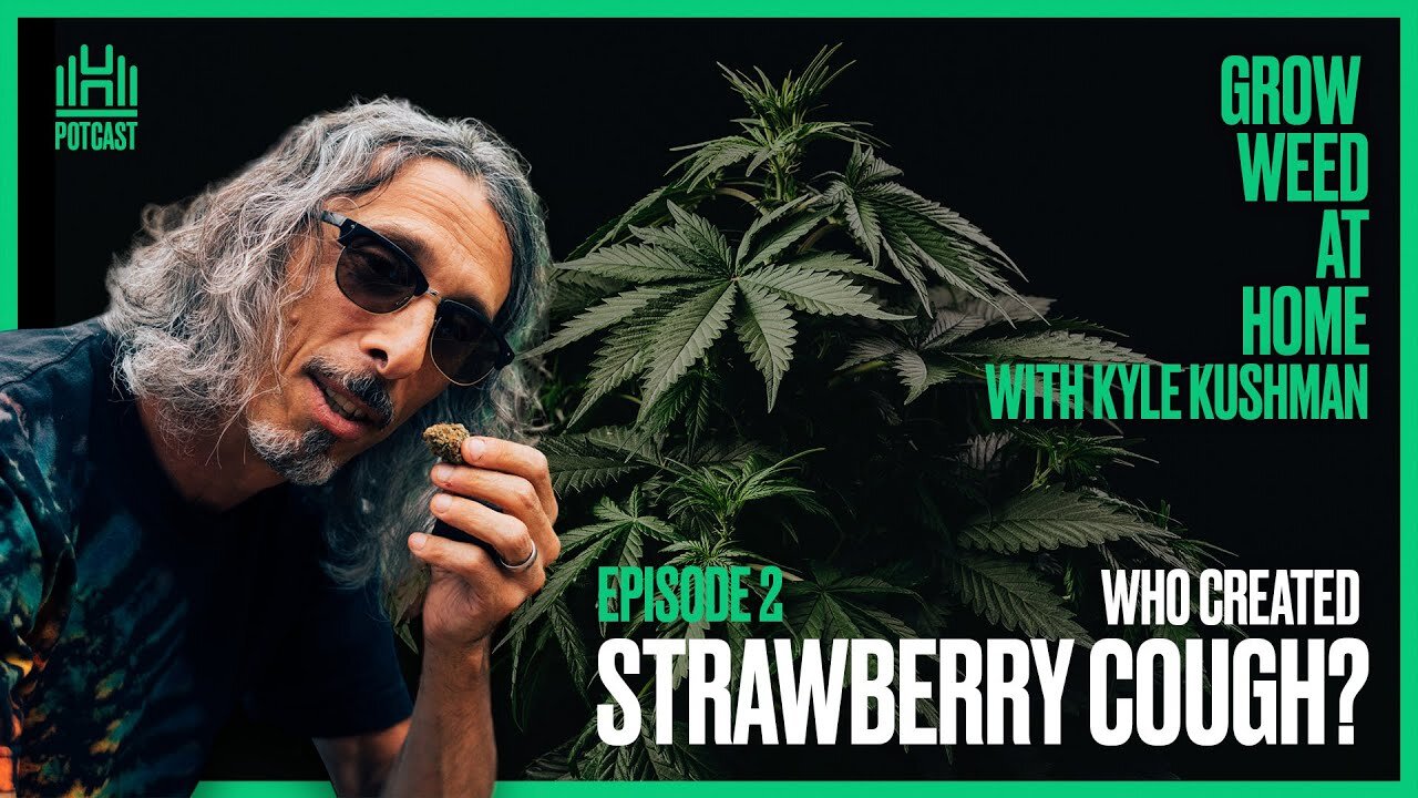 WHO Created Strawberry Cough? Find out in this Video?? | Episode 2