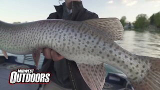 Walleye on the Detroit River