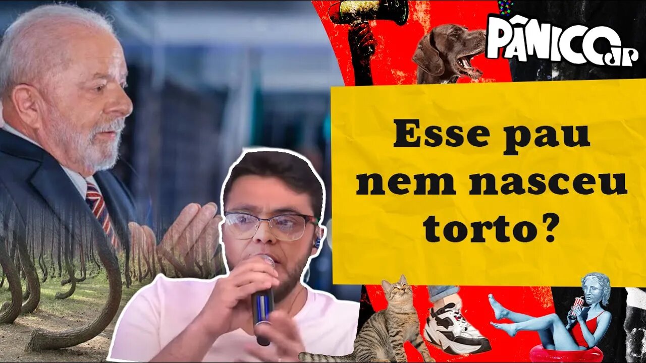 MARINA SILVA DESCE A LENHA NA EXPLORAÇÃO DA AMAZÔNIA