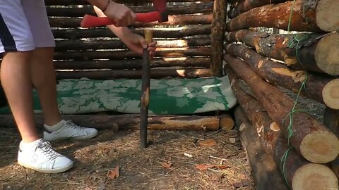 A jungle shelter in the jungle, fried eggs with sausage16