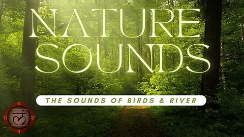 NATURE SOUNDS | BIRDS & RIVER | in 10 MINUTES | #RELAX