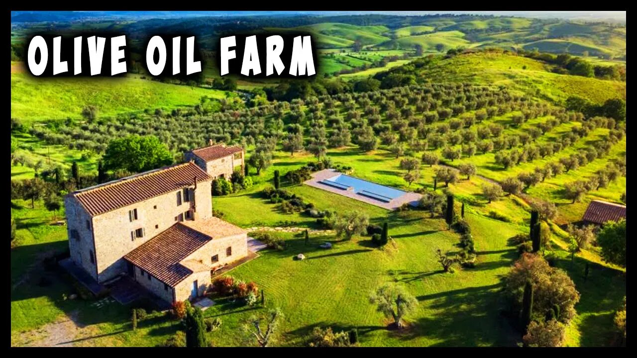 Country House With Olive Oil Farm and Extra Cottages Tuscany