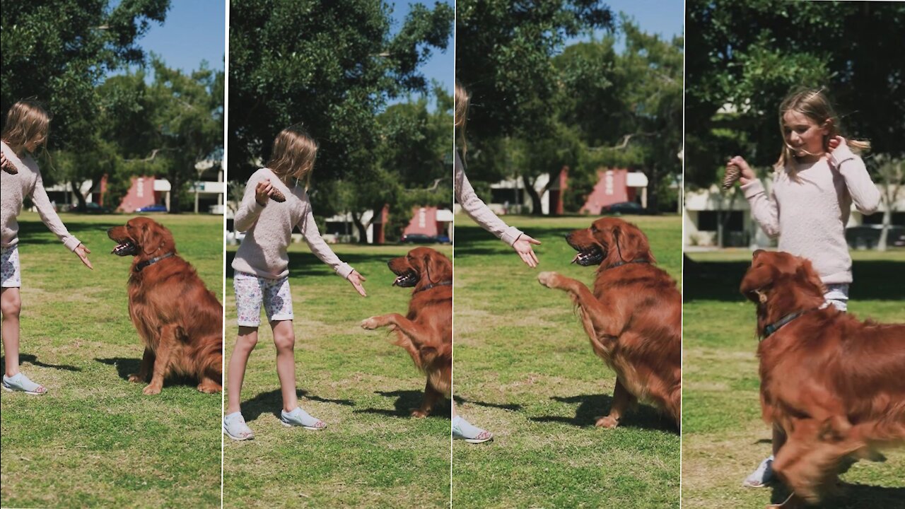 Little girl enjoy with own love dog