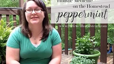 Holistic Medicine on the Homestead | Peppermint