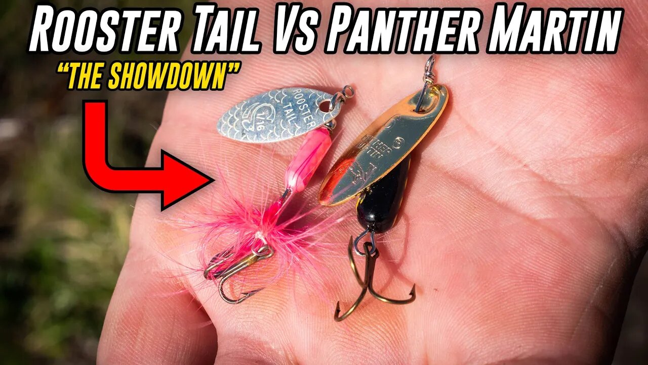 Rooster Tail VS Panther Martin - Trout Fishing SHOWDOWN!!