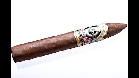 Ashton ESG 22 Year Salute Cigar Review